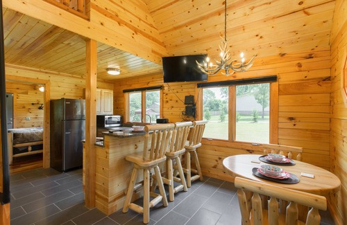 Asheville Cabin | Burt is a cozy log cabin