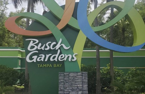 Temple Crest House | Busch Gardens vacation stay