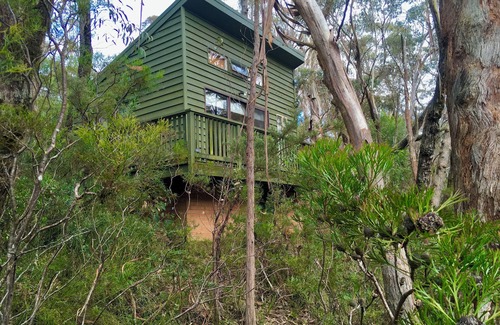 Katoomba Cabin | Bush Cabin Bliss Blue Mountains!