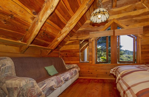 Kuaotunu Ski Chalet | Bush Chalet