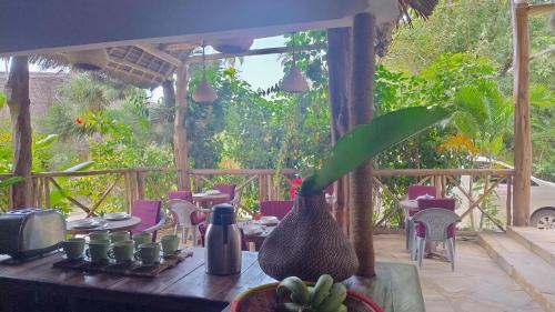 Kiwengwa Bed & Breakfast | Bush Paradise Kiwengwa
