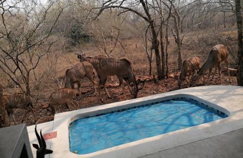 Marloth Park Apartment | Bushbuck Rest