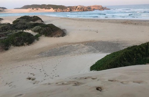 Bushman's River Mouth House | Bushmans River holiday home
