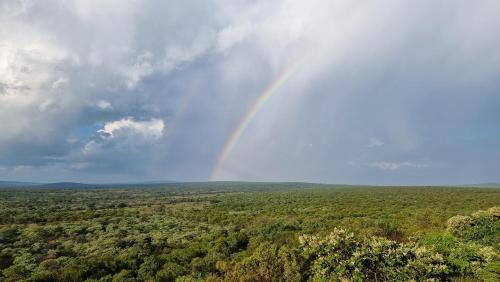 Vaalwater Cabin | Bushwa Private Game Lodge