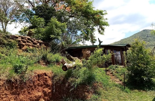 Umjindi House | Bushwhacked Barberton