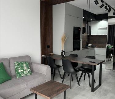 Rzeszow Apartment | Business and Friendly Apartments Rzeszów self check-in