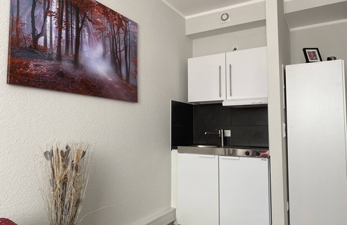 Oberstadt Apartment | Business Apartment Mainz Duo