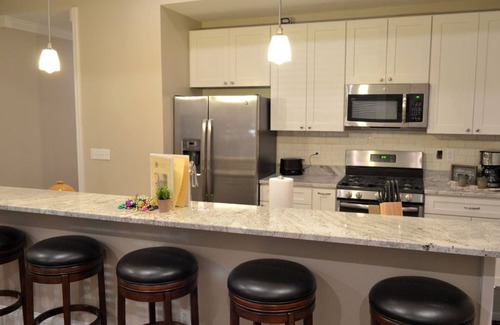 Central Business District Condo | Business/Industry Themed-The Picayune Newly renovated Historic Property