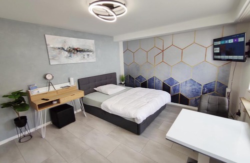 Oggersheim Apartment | Business Style Apartment Ludwigshafen *Free Parking and WiFi*