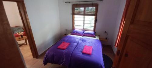 West Coast Division House | Busy Bee Nature Residence