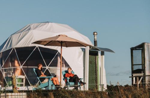 Te Akau Other | Buttercup Dome