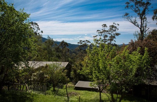 Warburton Bed & Breakfast | Buttercup Hill