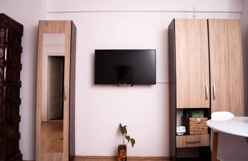 Tirgu Mures Apartment | Butterfly Apartment-Hidden Gem in the Heart of Targu Mures