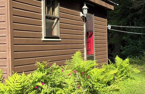 Otis Cabin | Butterfly Bungalow! Charming 2-bedroom Cabin and Studio in delightful Otis, MA