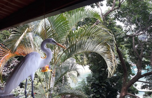 Ilha Grande Ski Chalet | Butterfly landing house