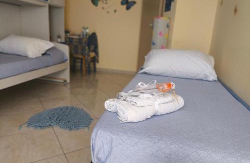 Scordia Bed & Breakfast | Butterfly Room
