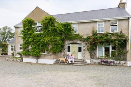 Donore House | Buvinda