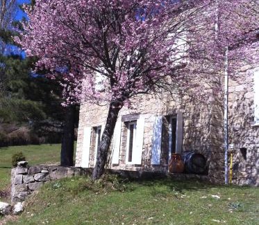 Sampolo Villa | Buvolaccia