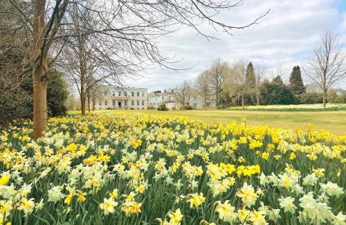 Uckfield House | Buxted Park Hotel