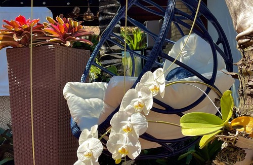 Porto Belo House | Buzios House Manguinhos