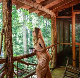 Saluda House | Buzzard Roost cabin at Cabin Fever in NC