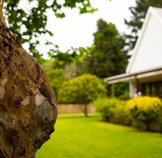 Hunter's Home Bed & Breakfast | BWHALE guest house B&B