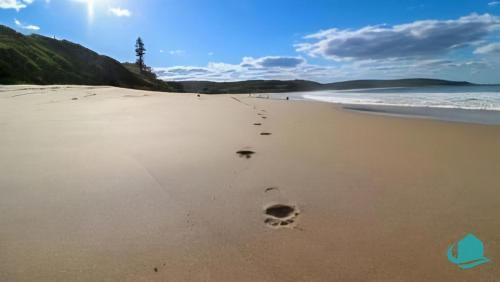 Catherine Hill Bay House | By the Beach at Catho