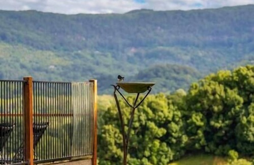Mullumbimby House | Byron Bay Hinterland Treasure