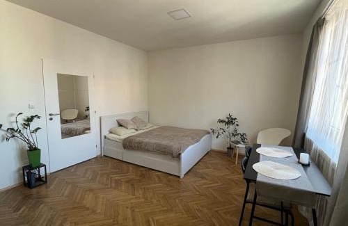 Podoli Apartment | Byt Podoli