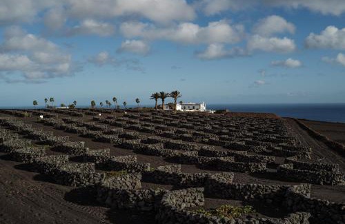 Macher Hotel | César Lanzarote Luxury Boutique Hotel - Adults Only
