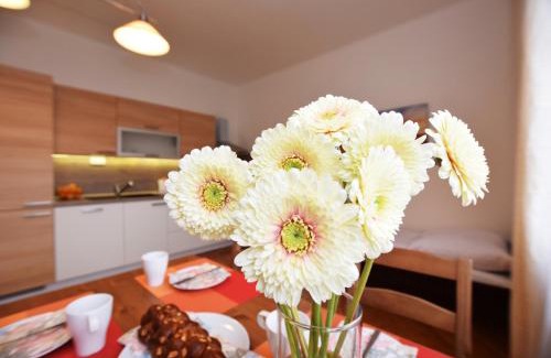 Prague 5 Apartment | Císařka Apartments