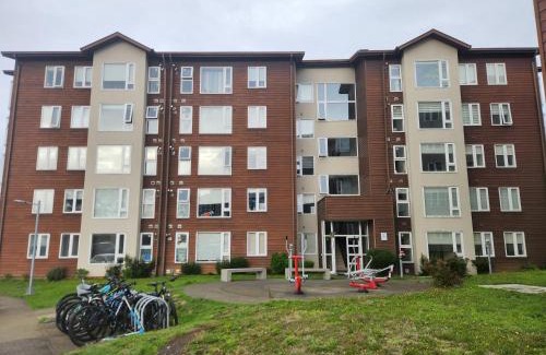 Osorno Apartment | Cómodo y acogedor departamento