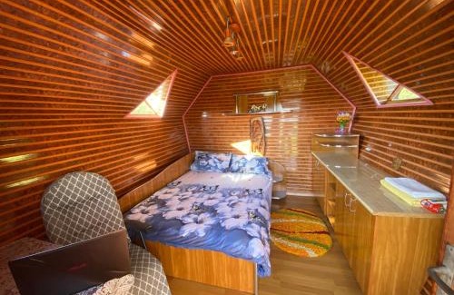 Banita Ski Chalet | Căbănuță rustică 02