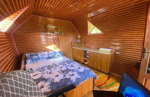 Banita Ski Chalet | Căbănuță rustică 02