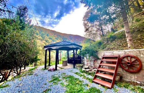 Toplita Bed & Breakfast | Căsuța din Pădure