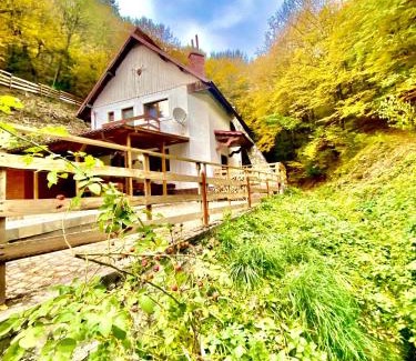 Toplita Bed & Breakfast | Căsuța din Pădure