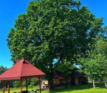 Novaci House | Căsuța din Stejari-Transalpina
