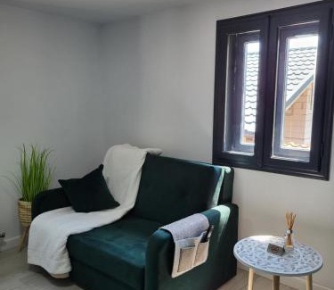 Brosteni House | Căsuța Piticilor