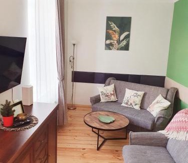 Cesis Apartment | Cēsu mājas Rīgas ielā