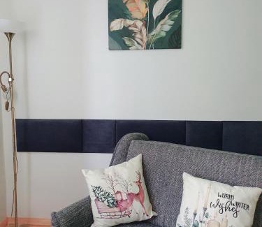 Cesis Apartment | Cēsu mājas Rīgas ielā