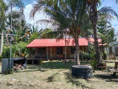 Krui Bed & Breakfast | C Point Krui