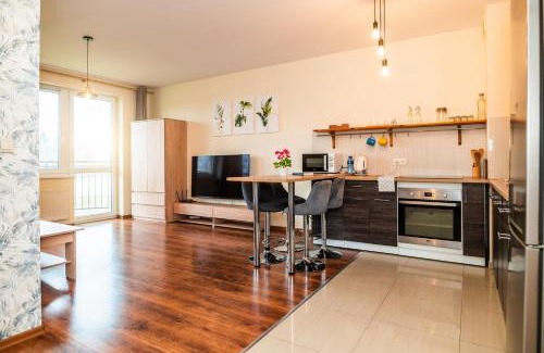 Legnickie Pole Apartment | Cały apartament