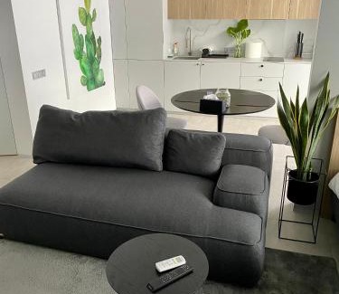 Kosuv Stary Apartment | Caсtus Apartments 1