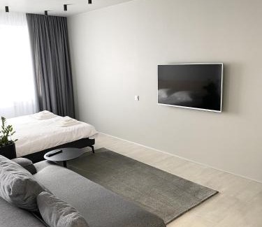 Kosuv Stary Apartment | Caсtus Apartments 1