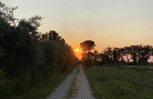 Santarcangelo di Romagna Bed & Breakfast | Ca Baruffa B&B