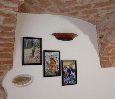 Narzole Apartment | Ca' D'Rosina
