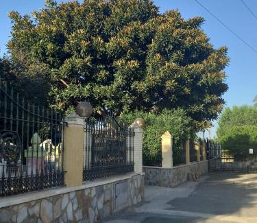Algoda House | Ca Didi