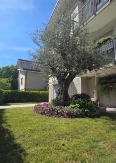 Mogliano Veneto House | Ca' Olivo