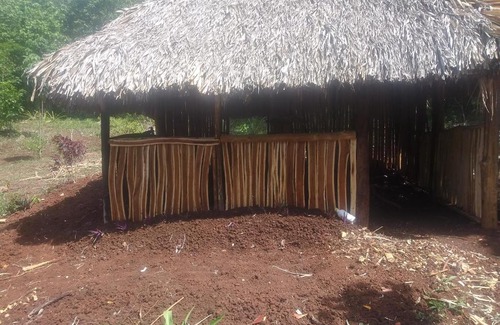 San Antonio Other | Caanah Mul Jungle Expedition