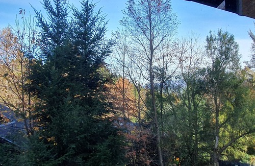 Lanin National Park Cabin | Cabaña Ideal Para el Descanso y Vacaciones. Ubicada en la Montaña y en el Bosque